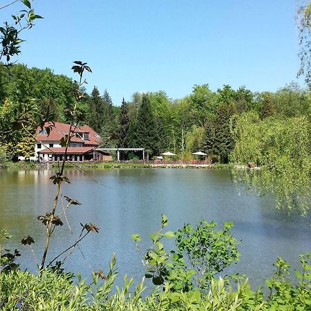 Waldhotel Zur Holzmuhle Eldagsen Kültér fotó