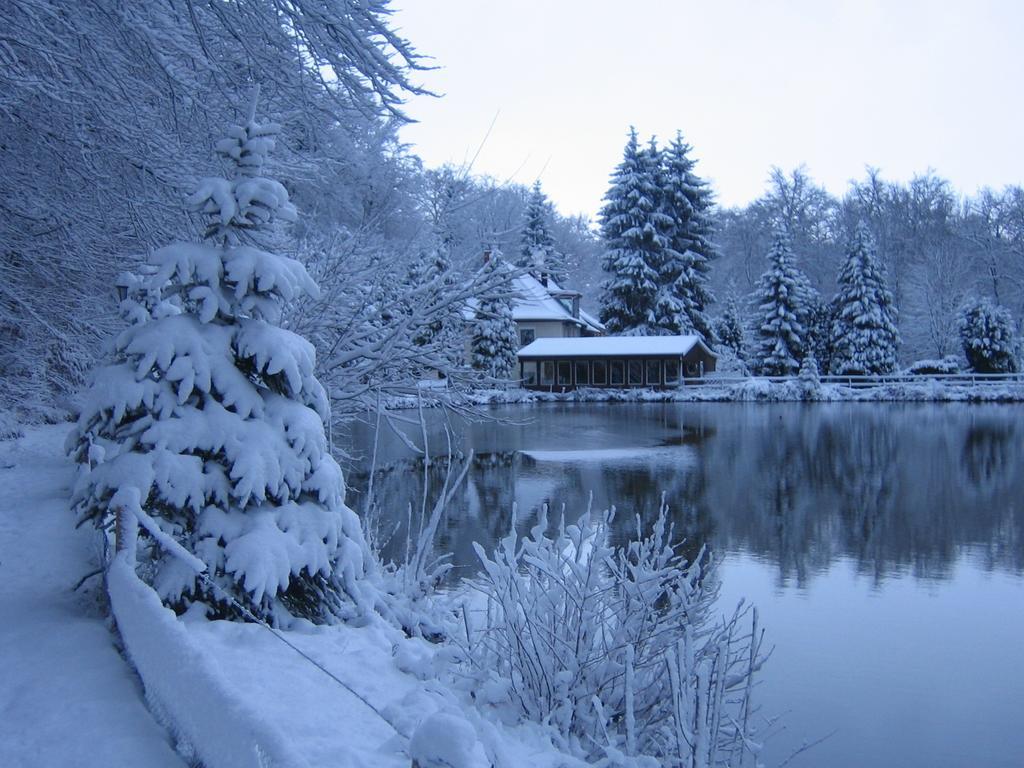 Waldhotel Zur Holzmuhle Eldagsen Kültér fotó