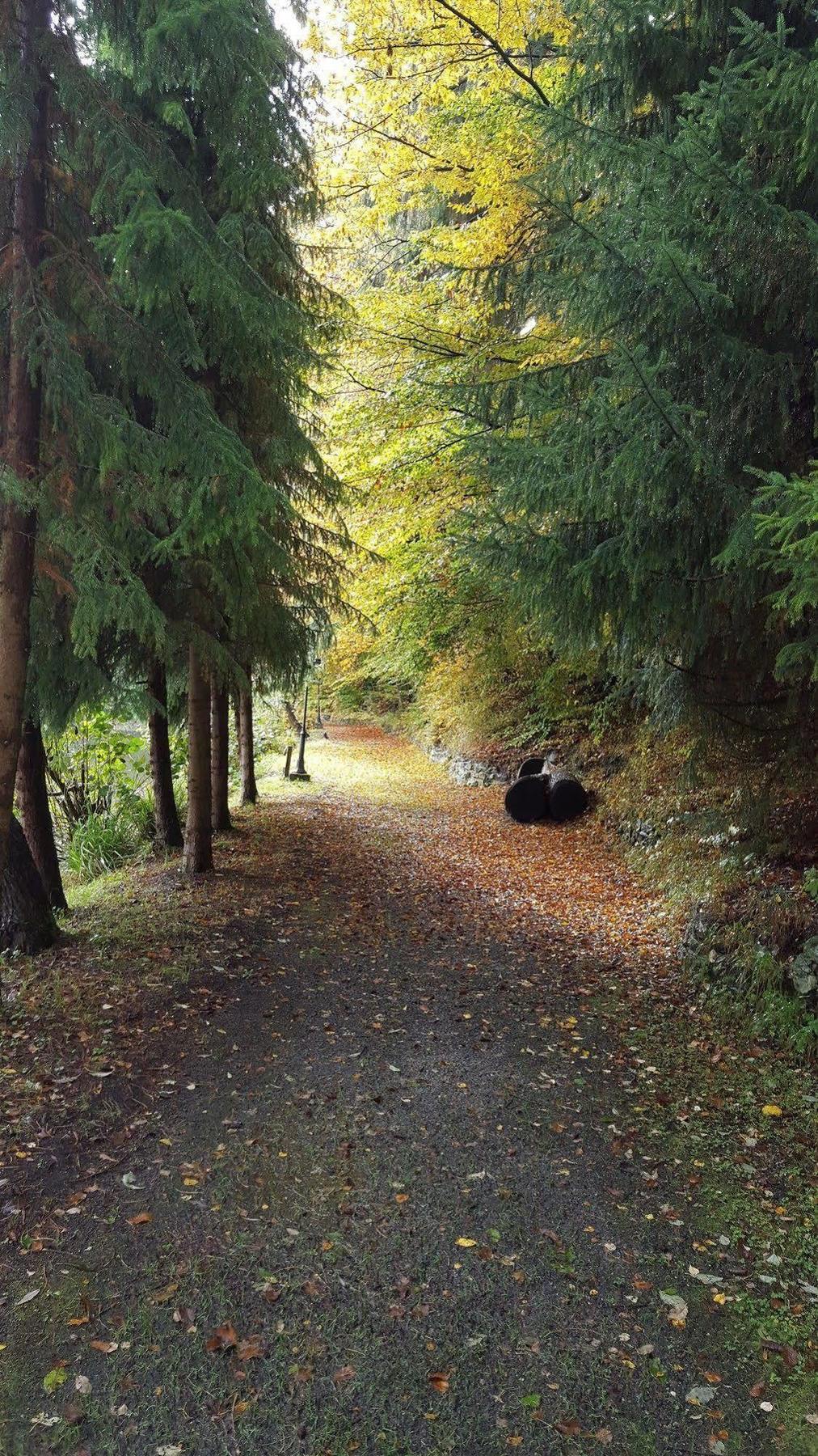 Waldhotel Zur Holzmuhle Eldagsen Kültér fotó